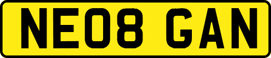 NE08GAN