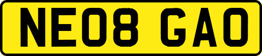 NE08GAO