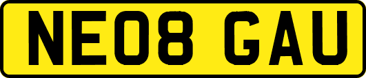 NE08GAU