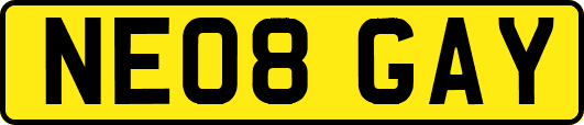 NE08GAY