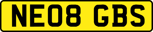 NE08GBS