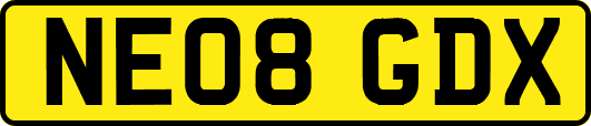 NE08GDX