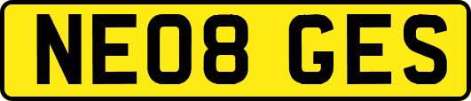 NE08GES