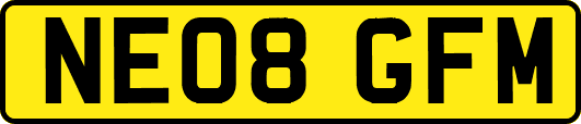 NE08GFM