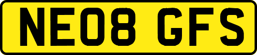 NE08GFS