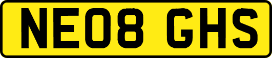 NE08GHS