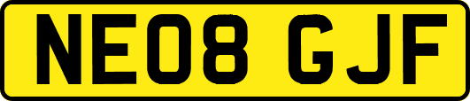 NE08GJF