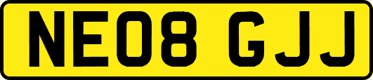 NE08GJJ