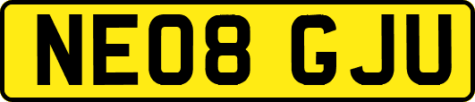 NE08GJU