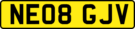 NE08GJV