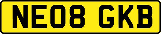 NE08GKB