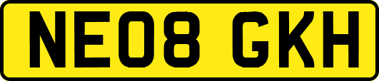 NE08GKH