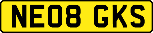NE08GKS