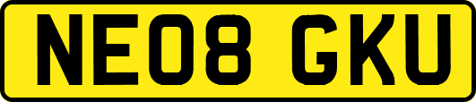NE08GKU
