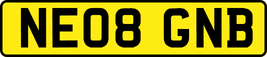 NE08GNB