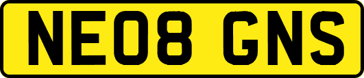 NE08GNS