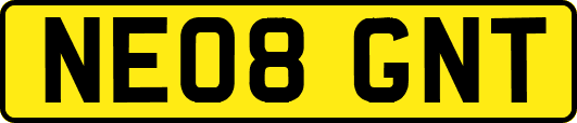 NE08GNT