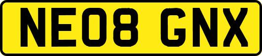 NE08GNX