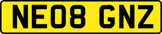 NE08GNZ