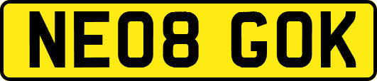 NE08GOK