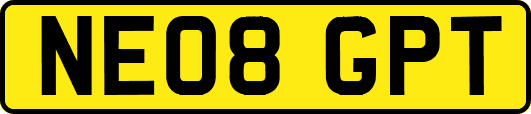 NE08GPT