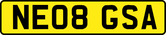 NE08GSA