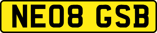 NE08GSB