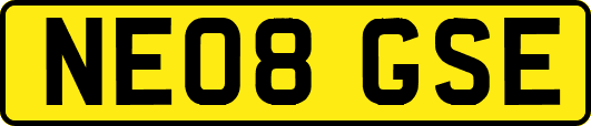 NE08GSE