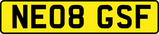 NE08GSF