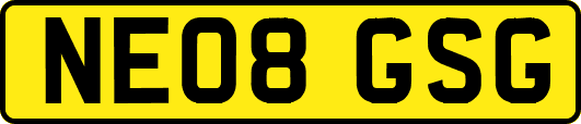 NE08GSG