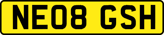 NE08GSH