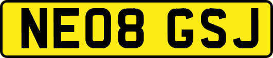 NE08GSJ