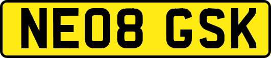 NE08GSK