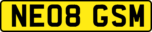 NE08GSM