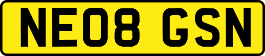 NE08GSN