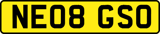 NE08GSO