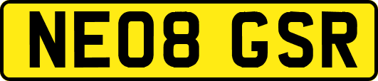 NE08GSR
