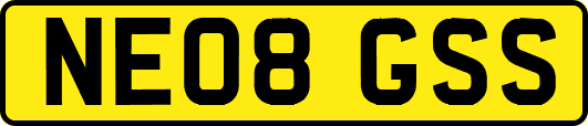 NE08GSS
