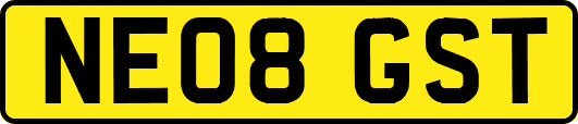 NE08GST