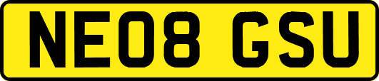 NE08GSU