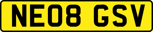 NE08GSV