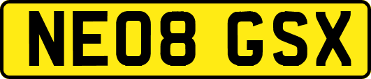 NE08GSX