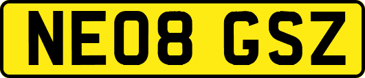 NE08GSZ