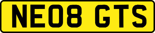 NE08GTS