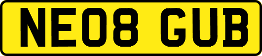 NE08GUB