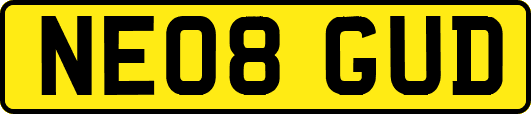 NE08GUD