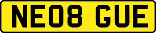 NE08GUE