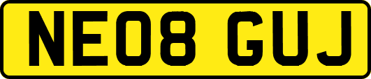 NE08GUJ