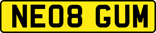 NE08GUM