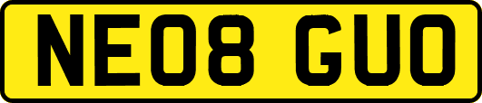 NE08GUO